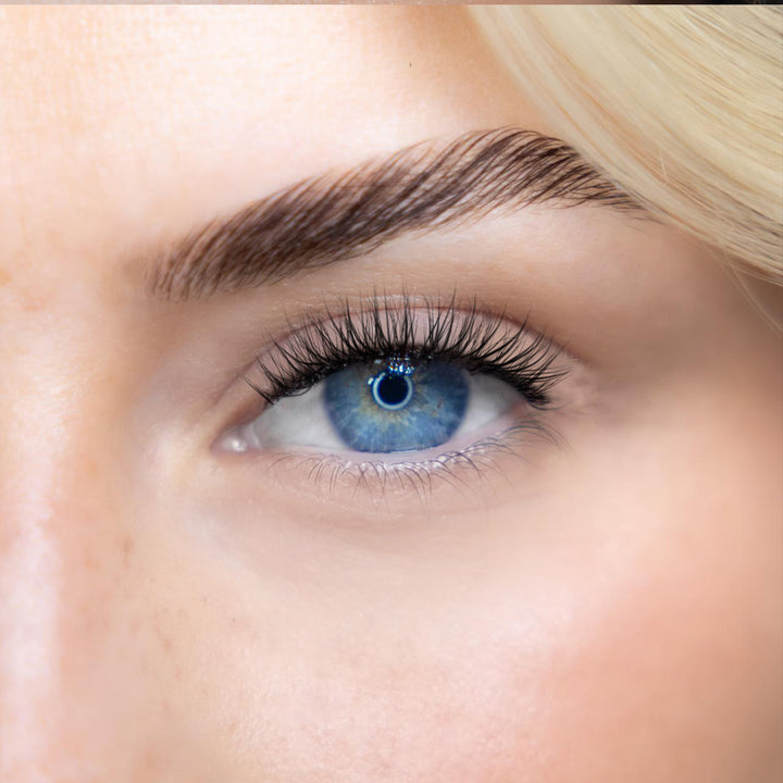 LASH BOOK - NO 1