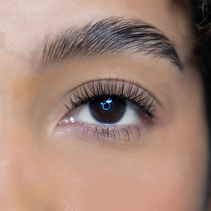 LASH BOOK - NO 1