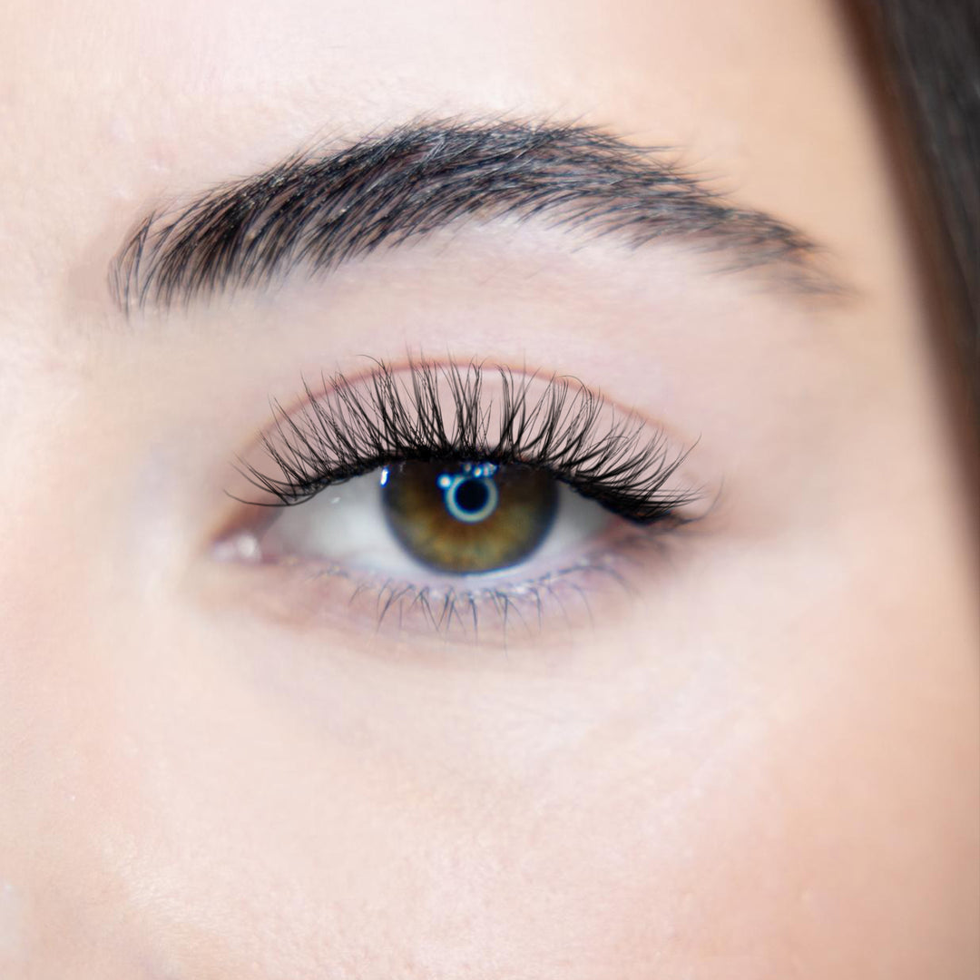 LASH BOOK - NO 1