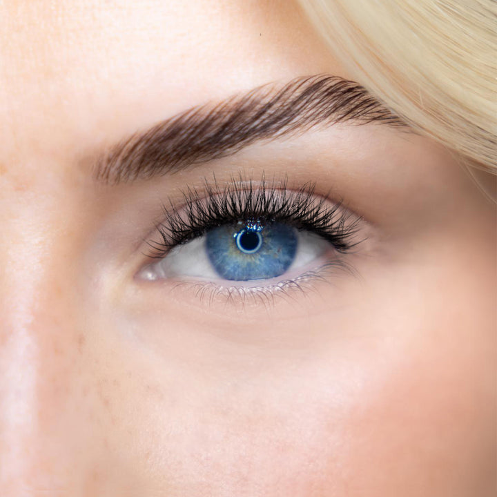 LASH BOOK - NO 2
