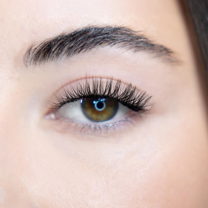 LASH BOOK - NO 3