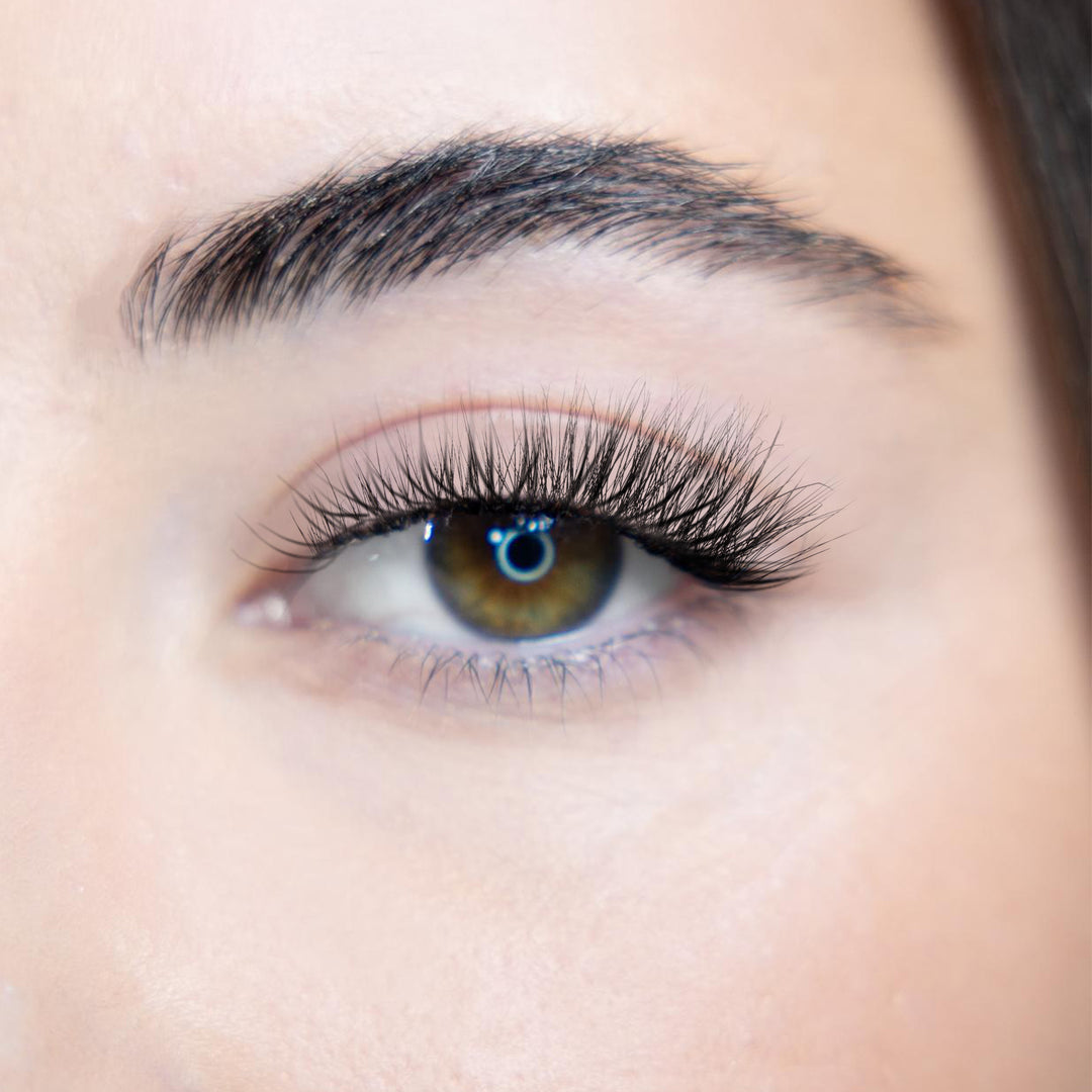 LASH BOOK - NO 4