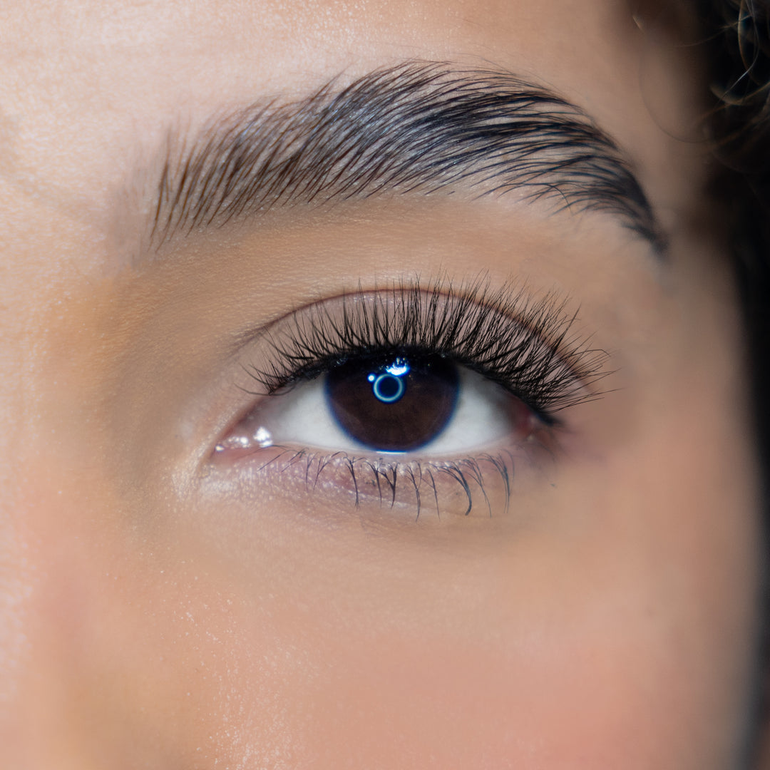 LASH BOOK - NO 4