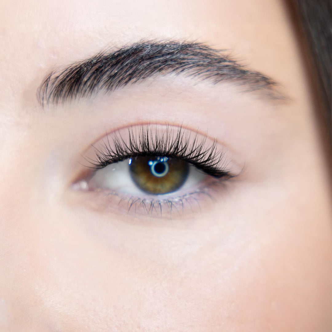 LASH BOOK - NO 5