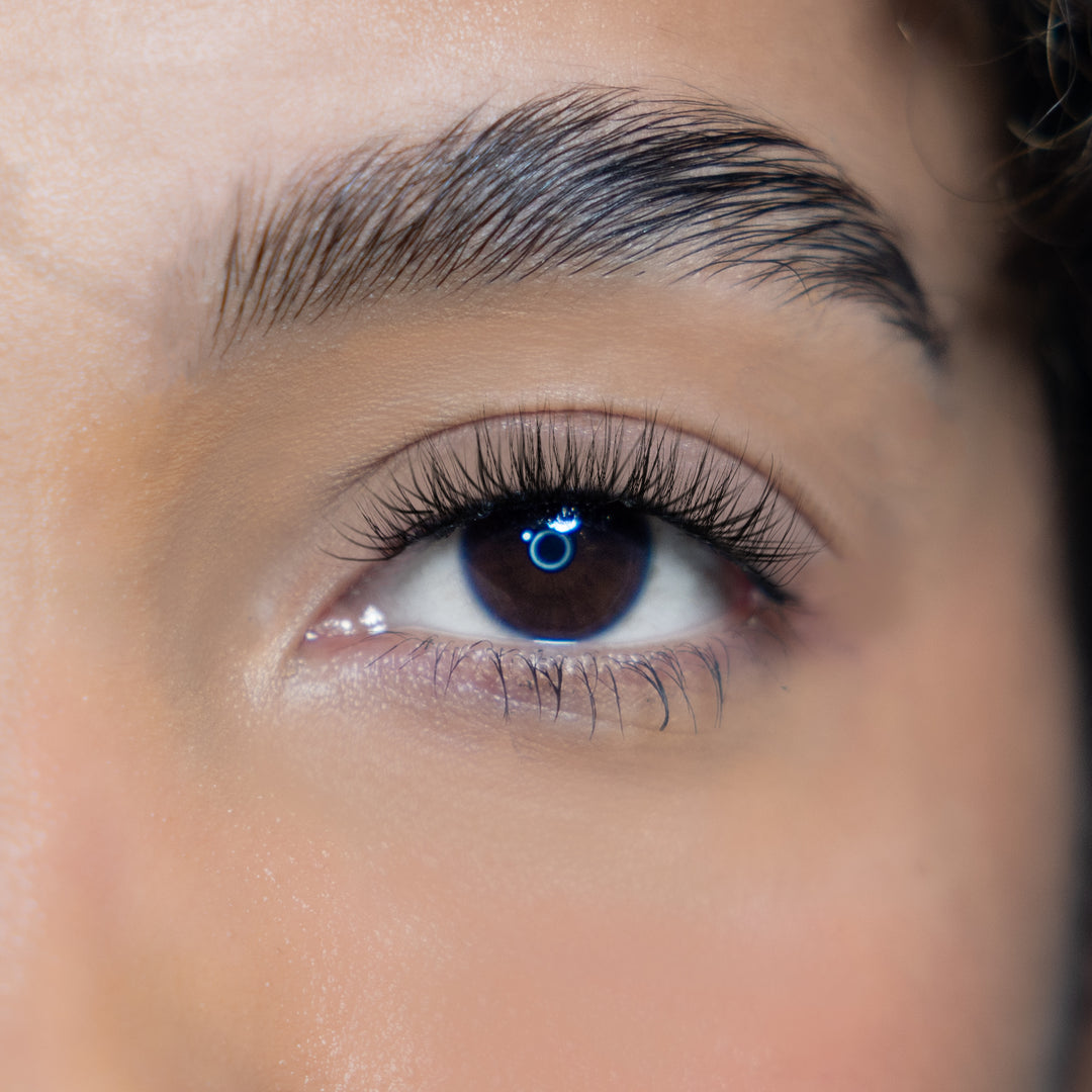 LASH BOOK - NO 5