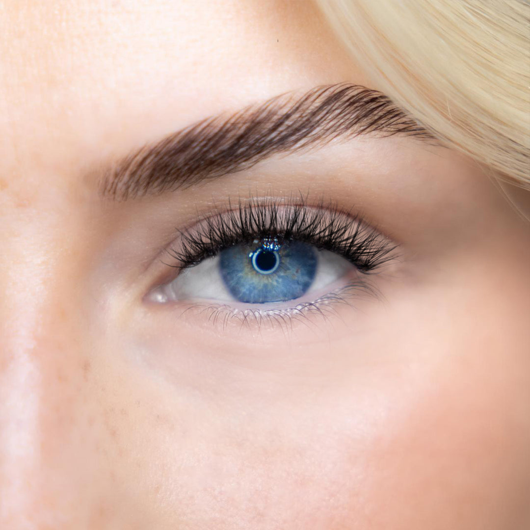 LASH BOOK - NO 6