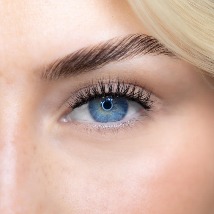 LASH BOOK - NO 7
