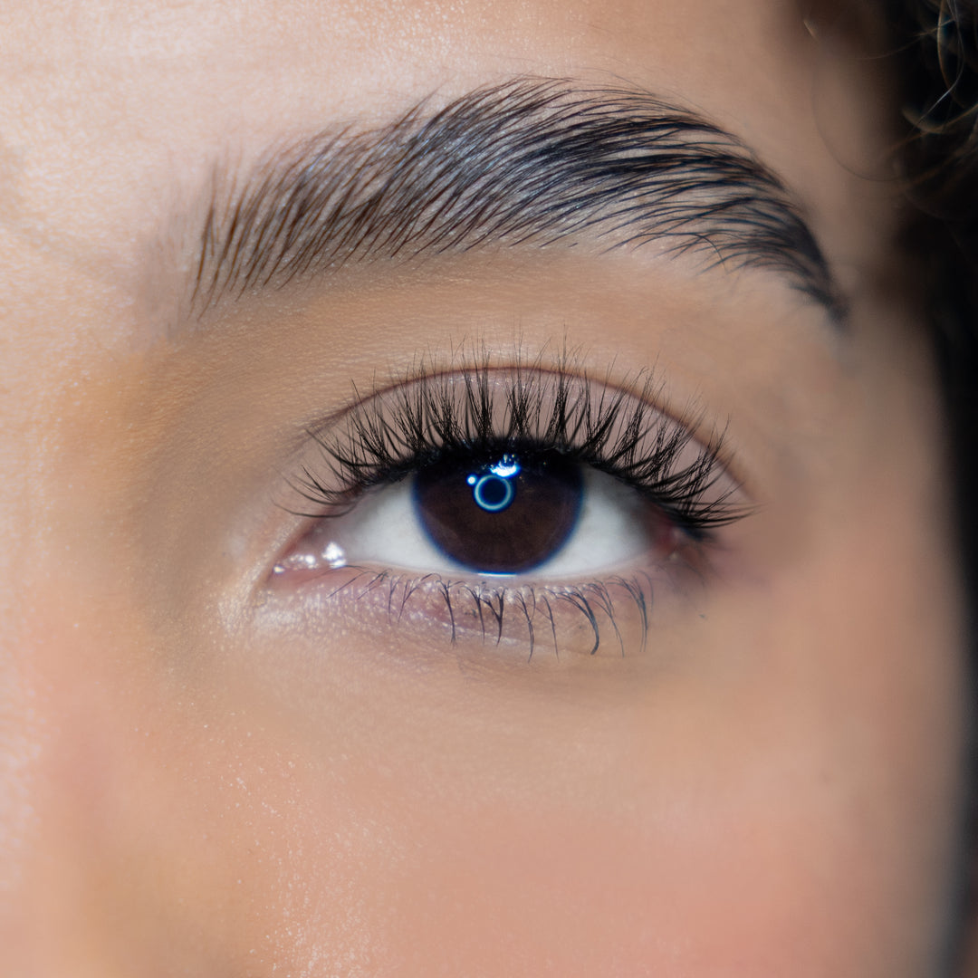 LASH BOOK - NO 7