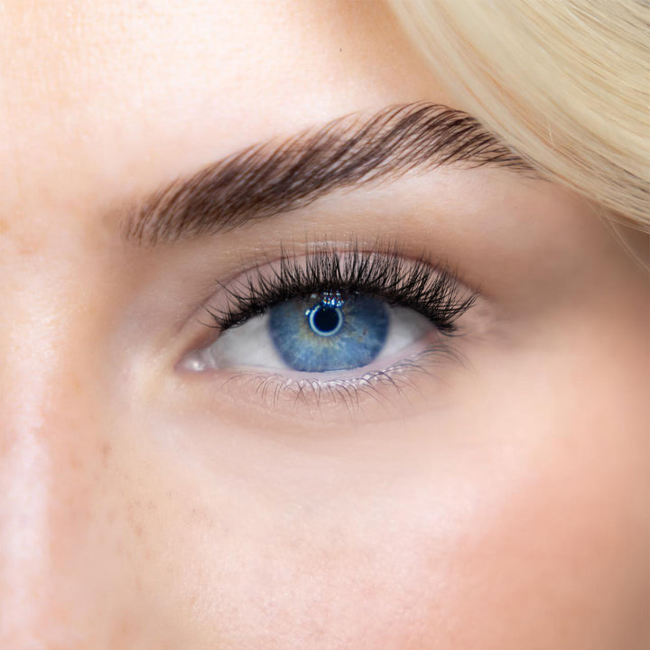 LASH BOOK - NO 8