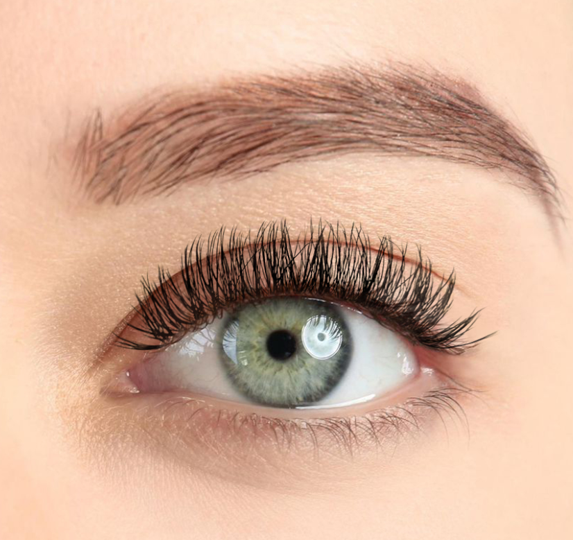LASH BOOK - NO. 7